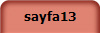 sayfa13