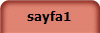 sayfa1