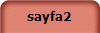 sayfa2
